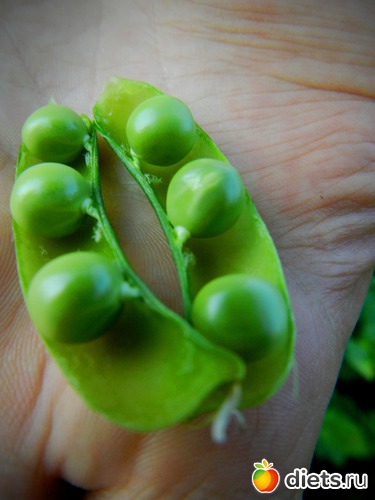 18 ����: ��� ����������