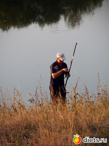 �����, ������: ��� ����������