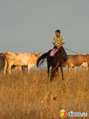 31 ����: ��� ����������