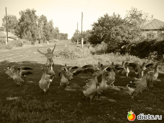 34 ����: ��� ����������