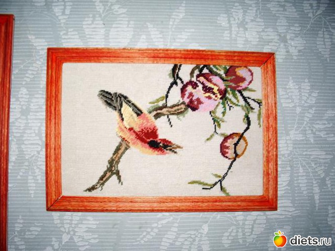 5 ����: �������