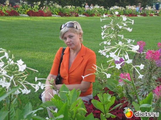 ������-2011, ������: 3 ���� ������...