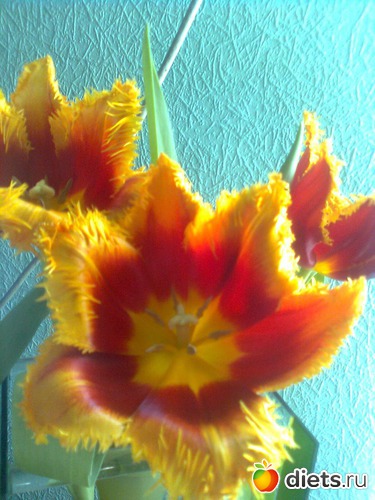 10 ����: ��� ����