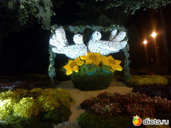 1 ����: �������� ��������� �� ������