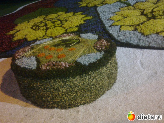 4 фото: Выставка скульптур из цветов