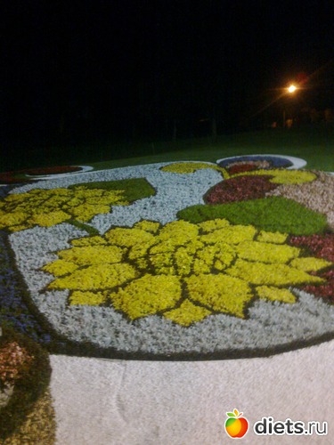 5 ����: �������� ��������� �� ������