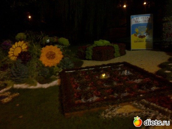 9 ����: �������� ��������� �� ������