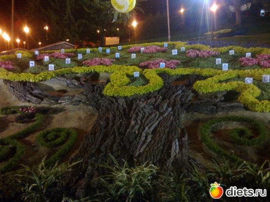 ����� �������, ������: �������� ��������� �� ������