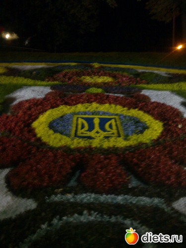 11 фото: Выставка скульптур из цветов