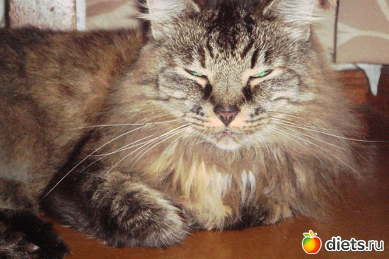 14 фото: хобби!!!и просто красота!!!