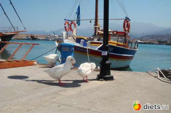 ���� � ������ 3 ������� ����!, ������: ���� 2011-����� �� �����