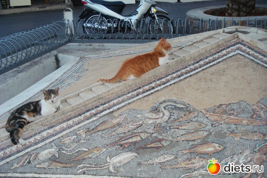 ��� ����� ��� �����!, ������: ���� 2011-����� �� �����