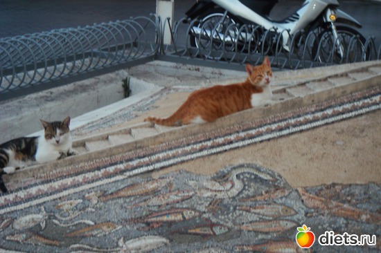 ���������� ��������� �����!!!, ������: ���� 2011-����� �� �����