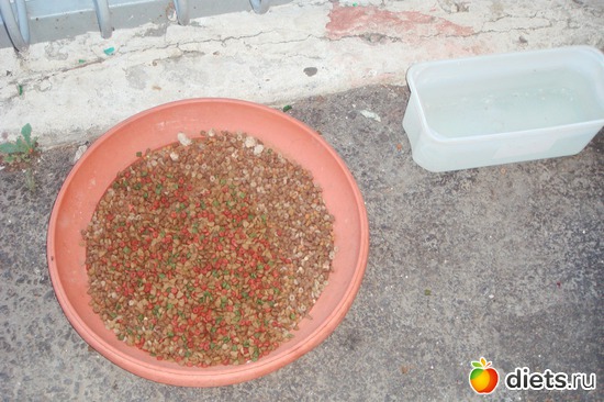 �������� ��������� �����!!!, ������: ���� 2011-����� �� �����