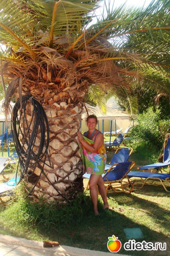 ����� ������ ������������!, ������: ���� 2011-����� �� �����