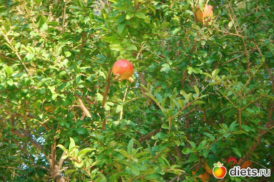 � ��� ������!!!, ������: ���� 2011-����� �� �����