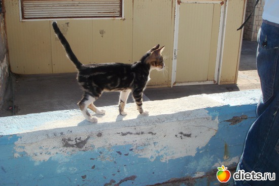 ������� ���������� ����������� �������!!!!, ������: ���� 2011-����� �� �����