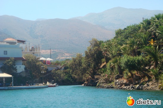 ����� ������ ����� ����, ������: ���� 2011-����� �� �����