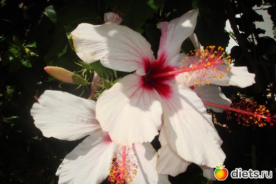 20 ����: ���� 2011-����� �� �����