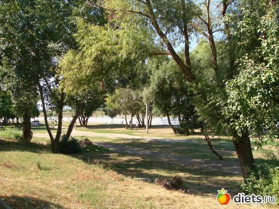 ����� �������������� ����������, ������: ���������