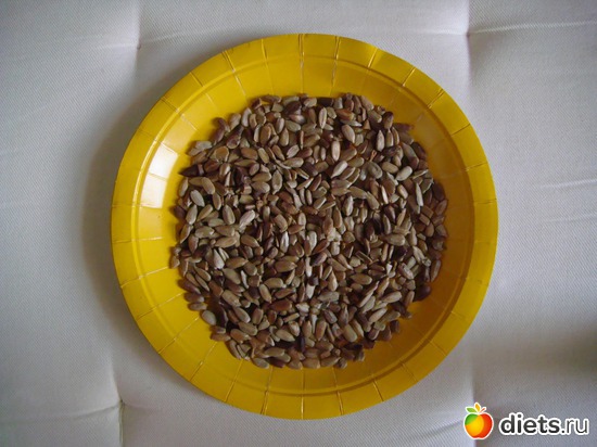 6 ����. - �������, ������: ����-�����