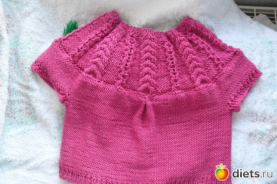 вид сзади,весна 2011, альбом: Спицы