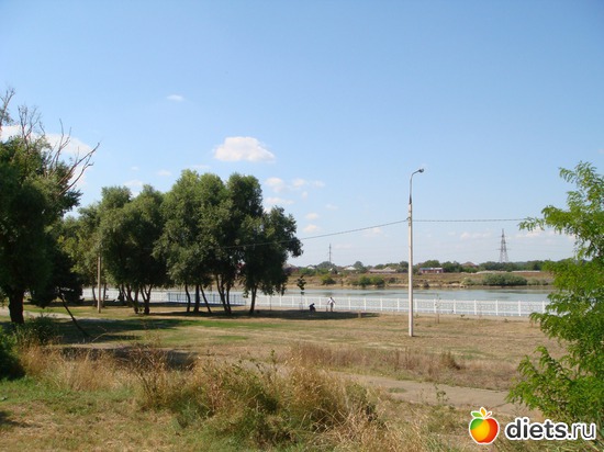 �������������� ����������, ������: ���������