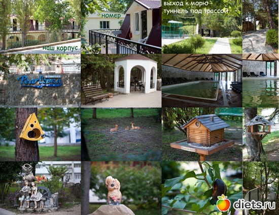 125 ����: ���� 2011