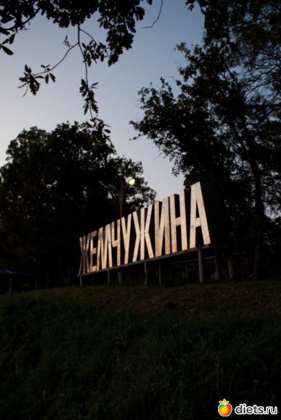 12 ����: ���� 2011