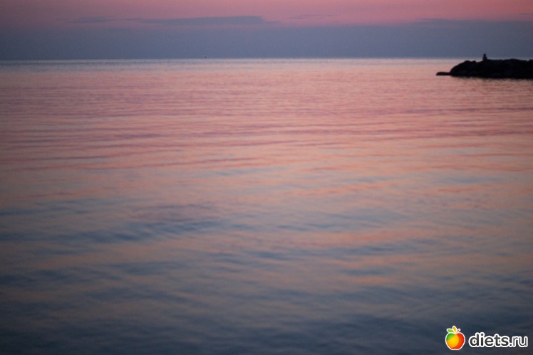 15 ����: ���� 2011