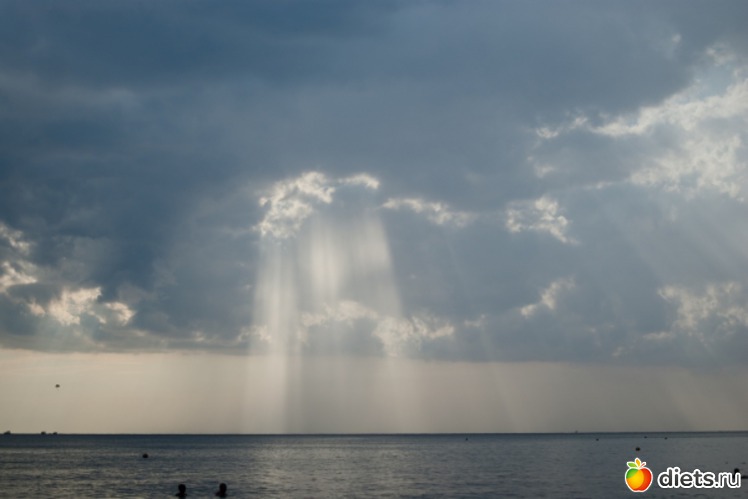 16 ����: ���� 2011