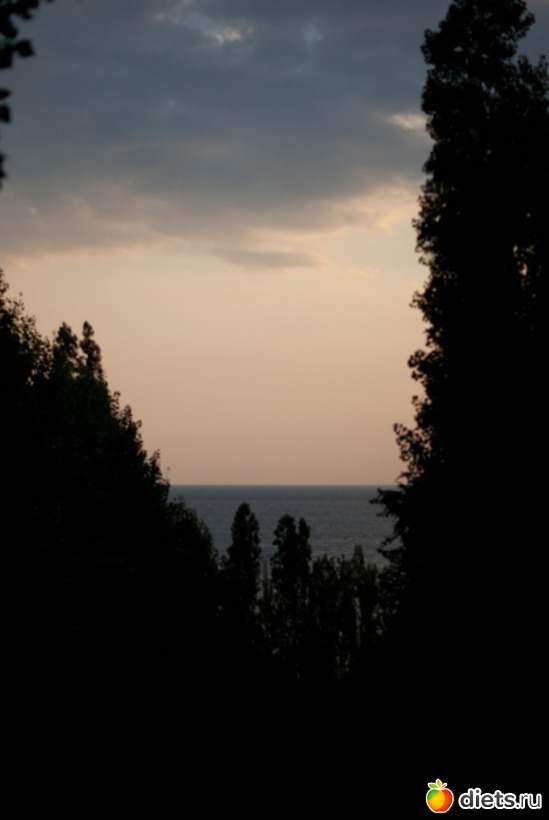 17 ����: ���� 2011