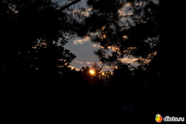 18 фото: Море 2011