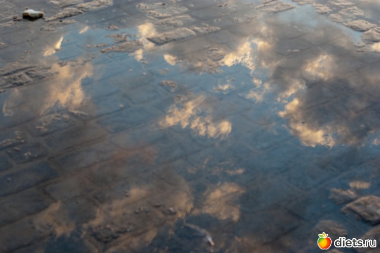 20 фото: Море 2011