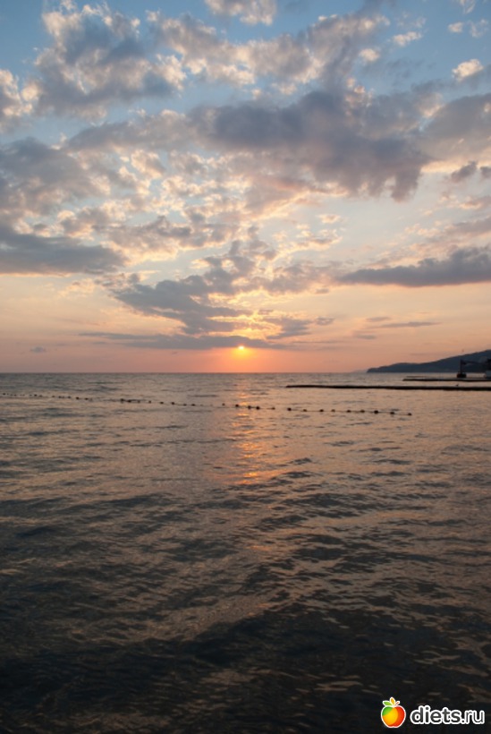 22 ����: ���� 2011