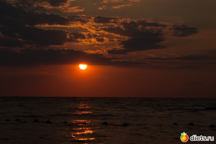 23 ����: ���� 2011