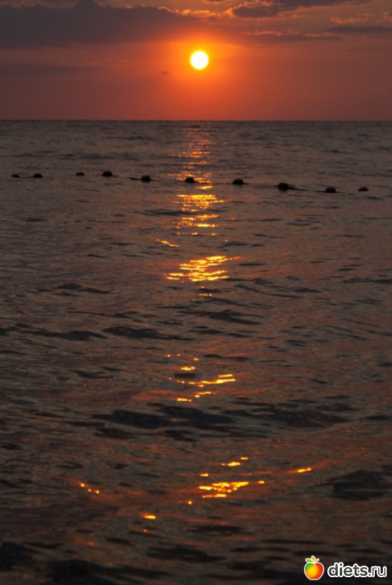 24 фото: Море 2011