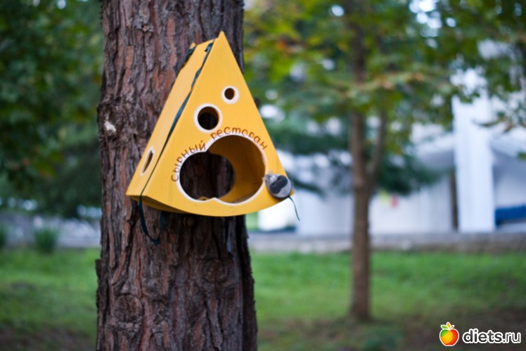 87 фото: Море 2011