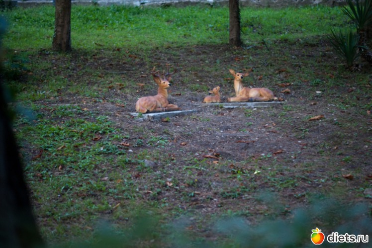 88 ����: ���� 2011