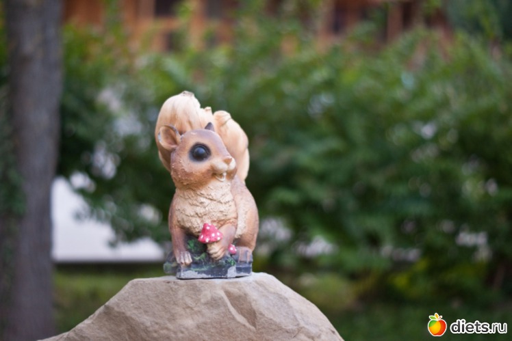 91 ����: ���� 2011