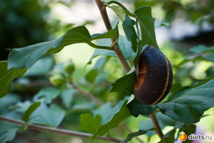 93 фото: Море 2011