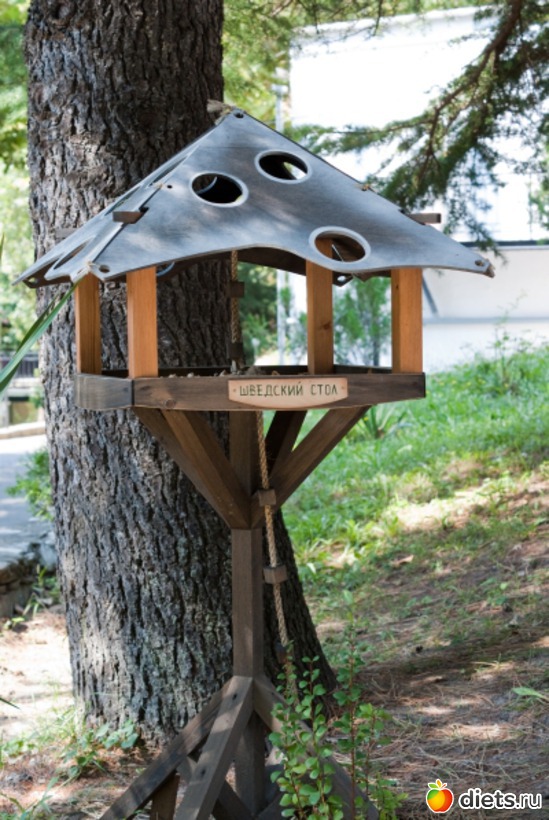 96 фото: Море 2011