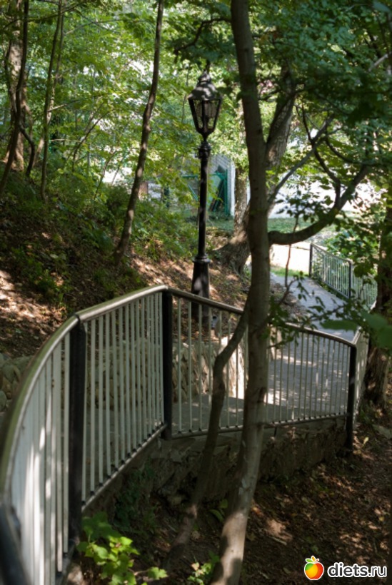 98 ����: ���� 2011