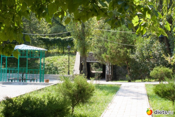 101 ����: ���� 2011