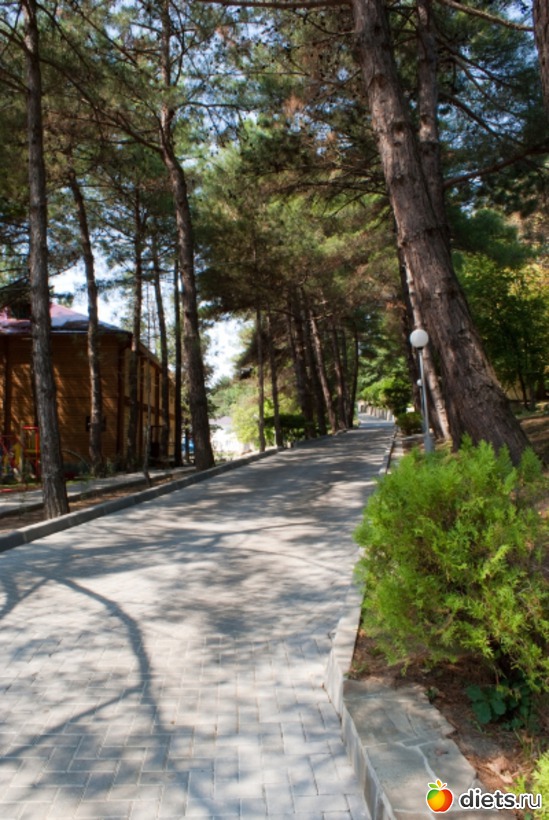 102 ����: ���� 2011