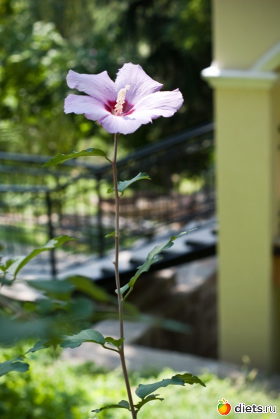 104 ����: ���� 2011