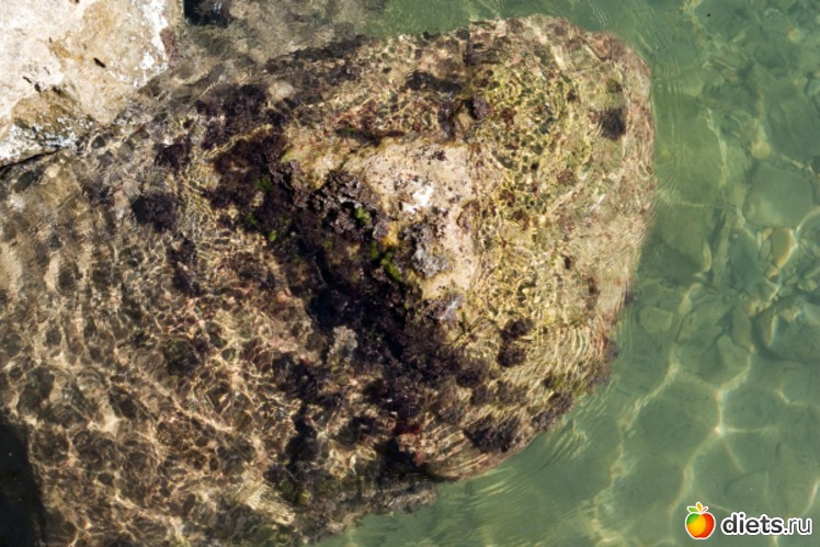 111 ����: ���� 2011