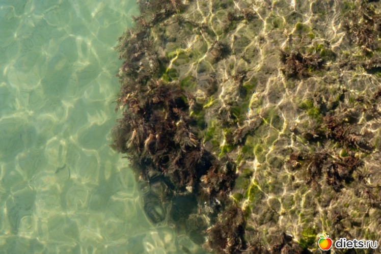 112 фото: Море 2011