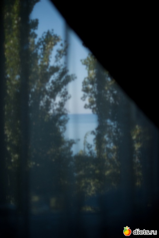 114 ����: ���� 2011