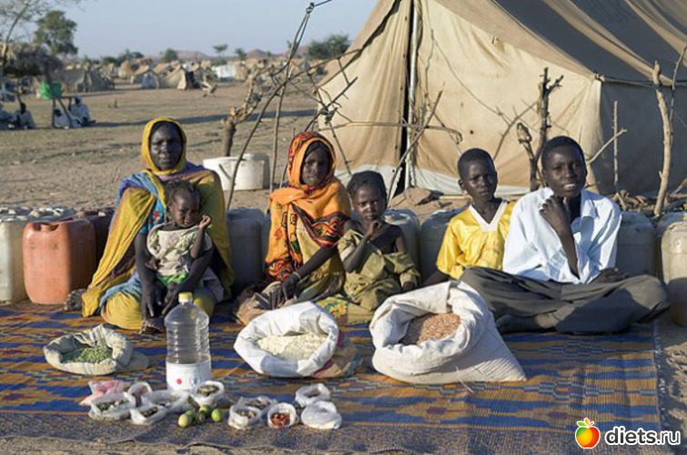 Чад. Лагерь Breidjing Потрачено за неделю на еду: $1,23, альбом: Кол-во еды за неделю
